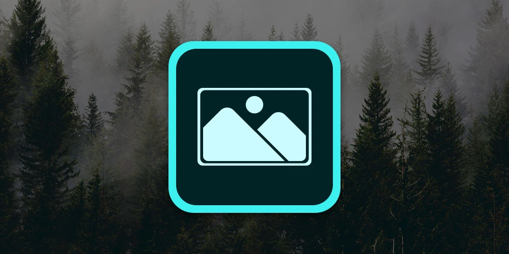 Get An Additional 60 Percent Off On eLearning Course Bundles For Black Friday