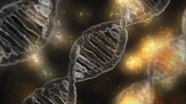 CRISPR Gene Editing May Have Unanticipated Side Effects