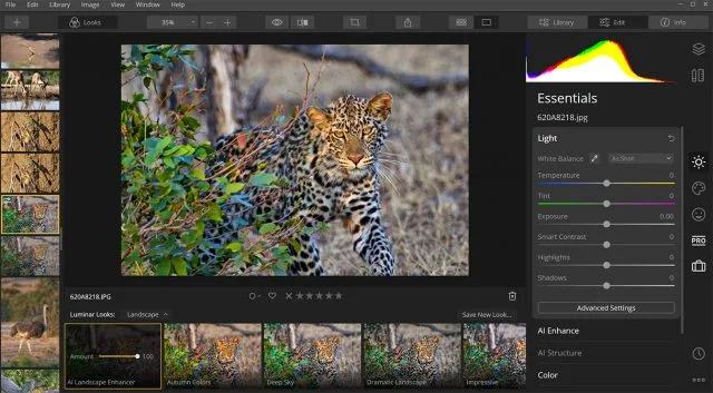 Skylum удваивает возможности улучшения изображения AI в фоторедакторе Luminar 4