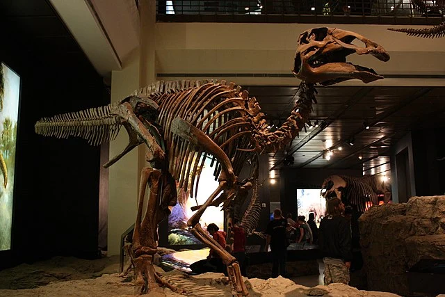 One of the Best-Preserved Dinosaurs Of All Time Found in Canada