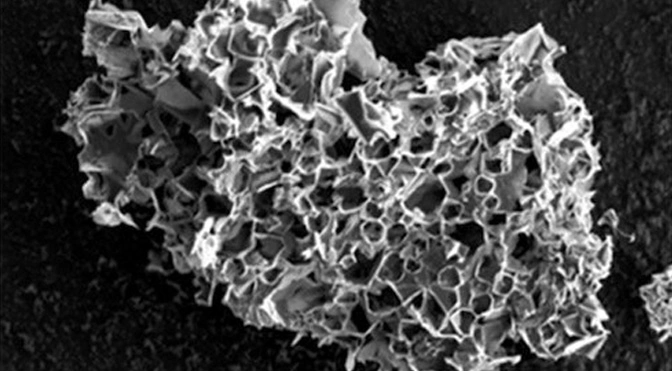 Two Birds, One Stone: Researchers Turn Plastic into Carbon Capture Material