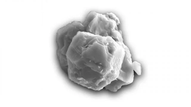 One of the pre-solar grains, about 8 micrometers across.