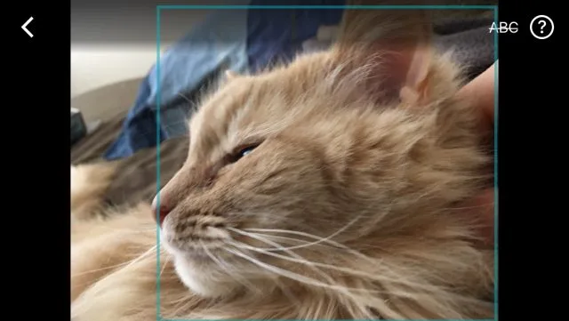 Microsoft ‘Seeing AI’ App Now Explores Photos With Touch, Hopefully Won’t Get Anyone Killed