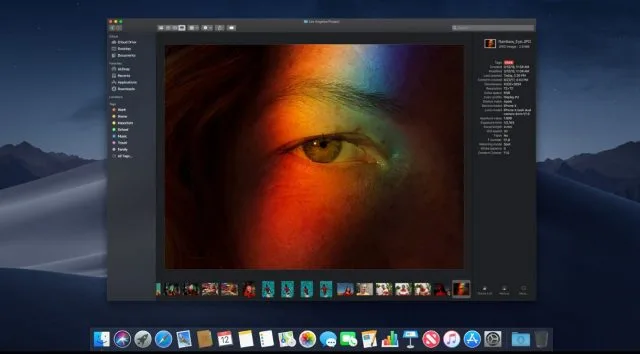 Why Won’t Apple Support Nvidia Silicon With macOS Mojave?