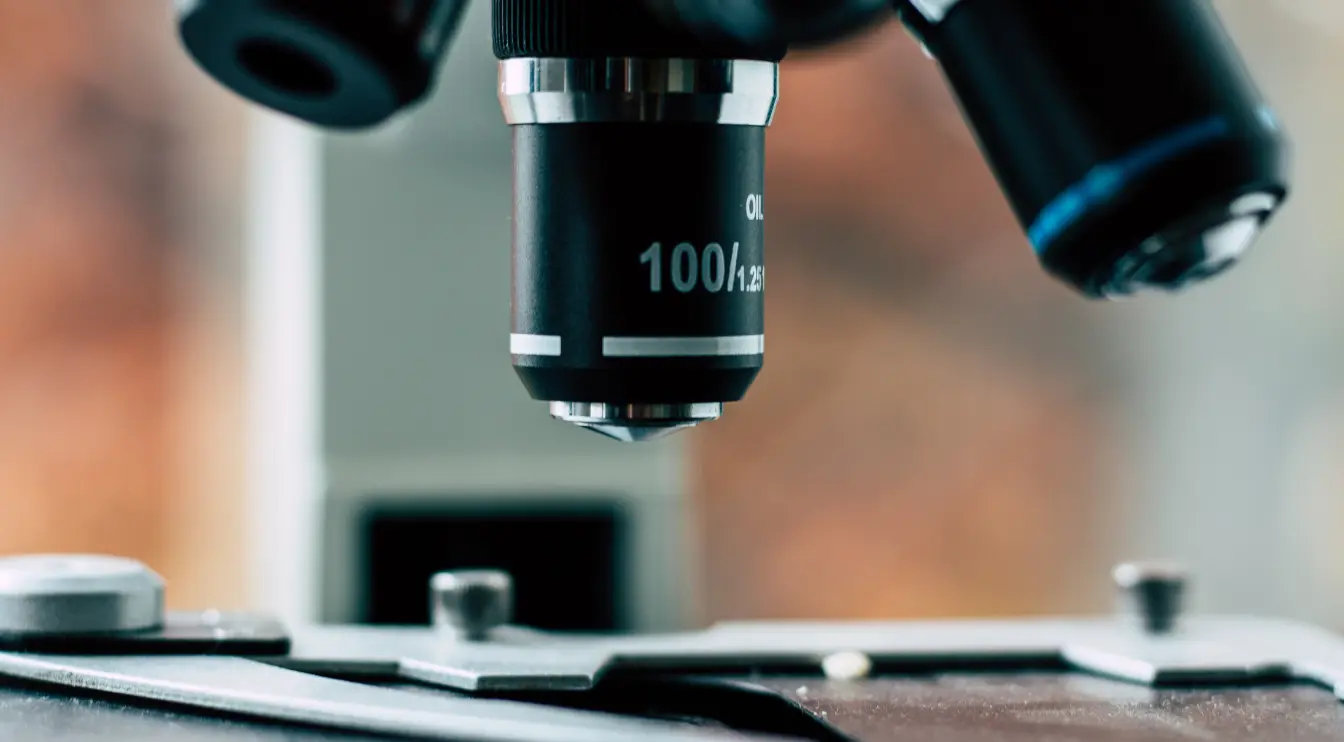 Fecal Transplants Reverse Key Signs of Aging