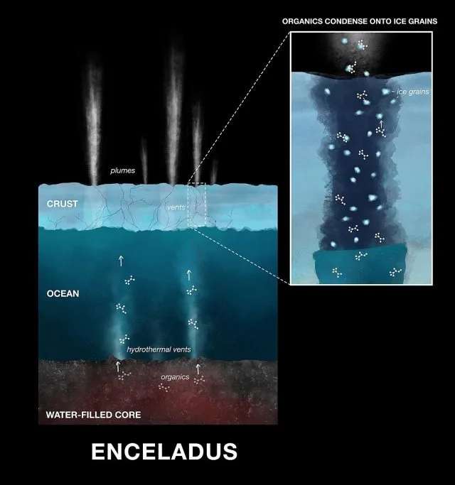 Enceladus’ Deep Ocean Contains Basic Building Blocks of Life