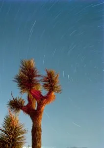 How Google’s Night Sight Works, and Why It’s So Good