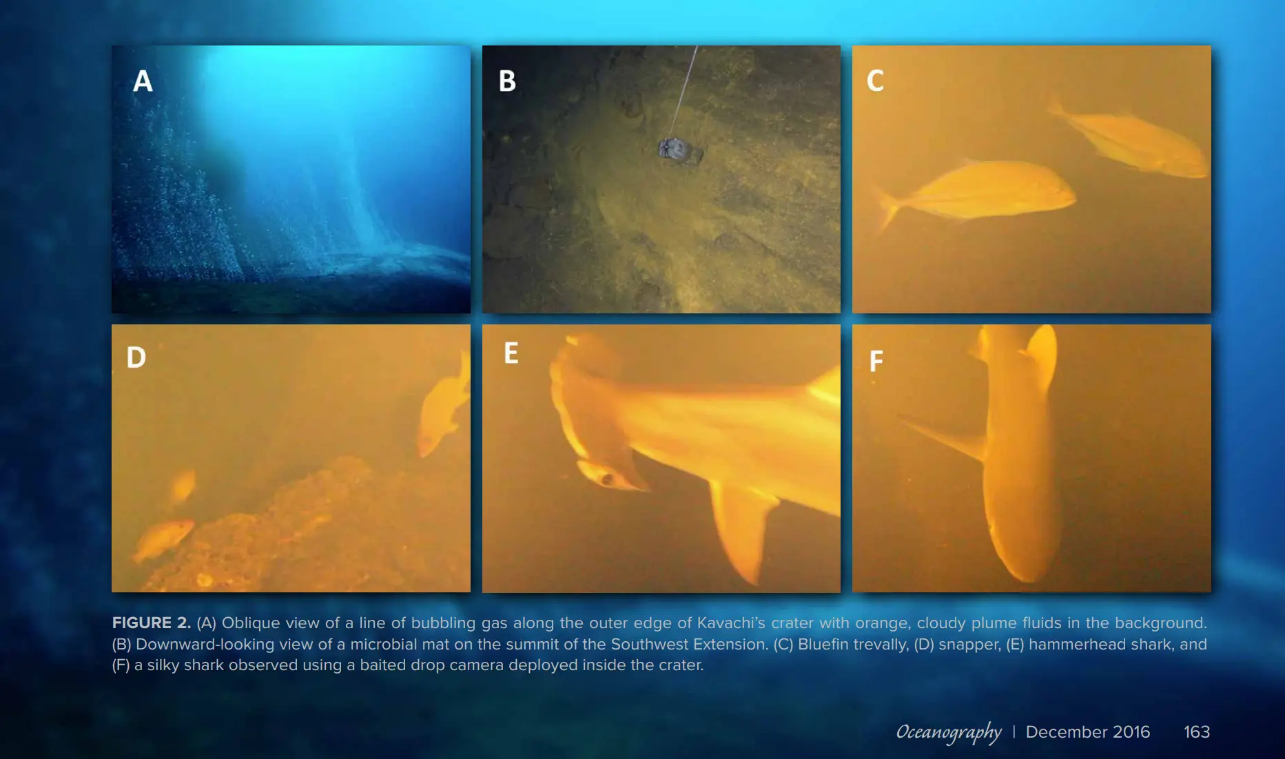 NASA попереджає, що це сірчана, кисла "Sharkcano" ось -ось вибухне