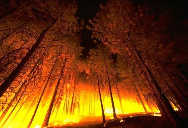 Verizon Throttled LTE "Необмежений" Fire Department у Каліфорнії під час пожеж