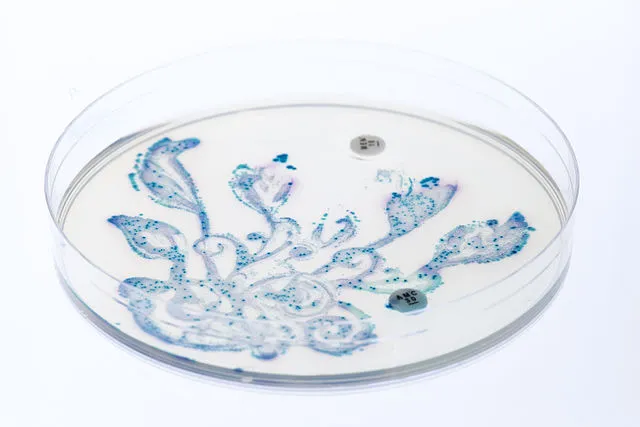 Fecal Transplants Reverse Key Signs of Aging