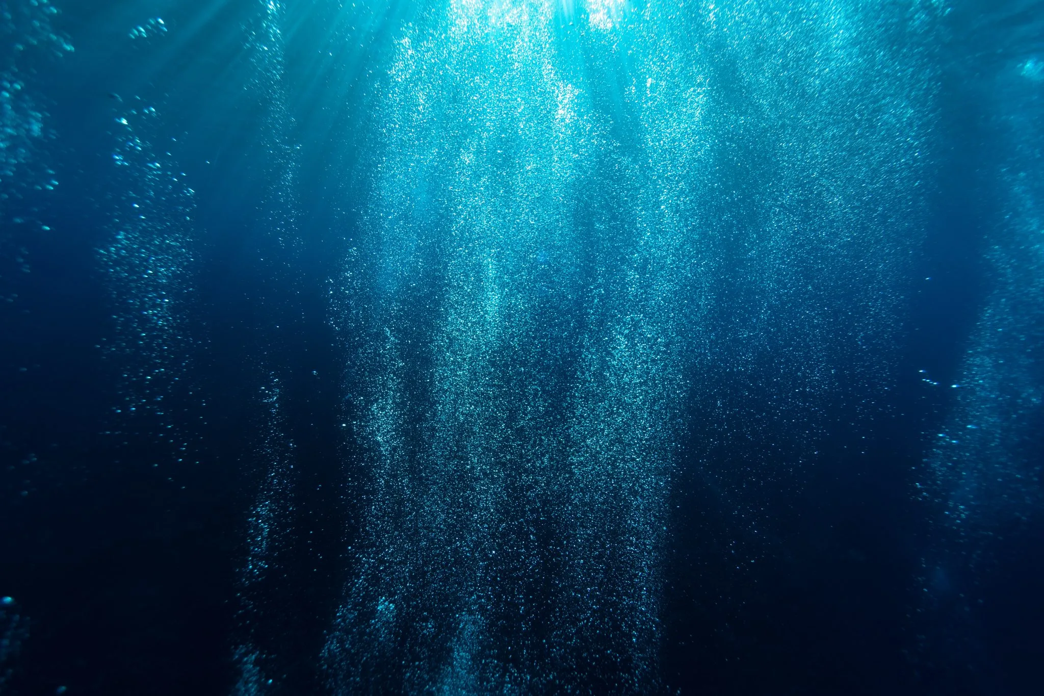 Hawaii Startup Launches World’s First Ocean-Assisted Carbon Removal Plant