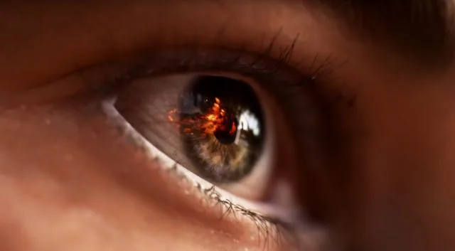 Nvidia RTX 2060 Цена, производительность, детали дизайна Leak