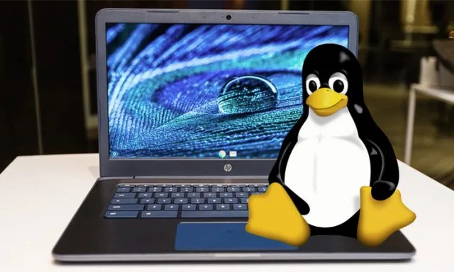 Microsoft опубликует спецификации exFAT, но разработчики Linux не буду