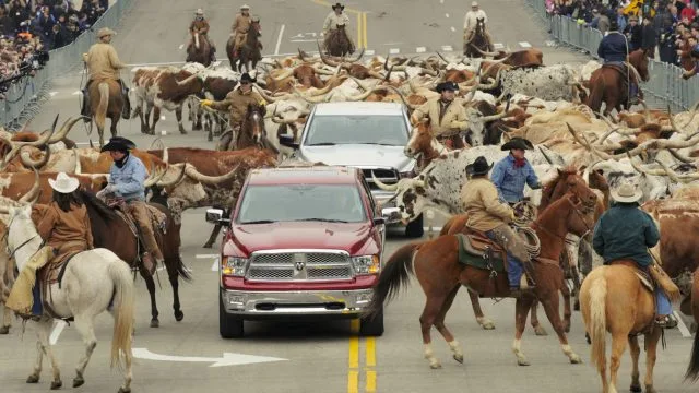 Long before Lil Nas X and Billy Ray Cyrus (“Ridin’ on a horse, ha, You can whip your Porsche”), Ram trucks opened the Detroit auto show with a 2008 cattle drive. It was a mega-cold day and you had to get up real early to see this one-time event.