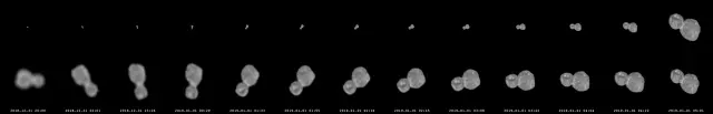 New Horizon’s approach to Ultima Thule.