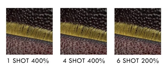 Comparison of multi-shot versus single shot images taken with the H6D-400C MS