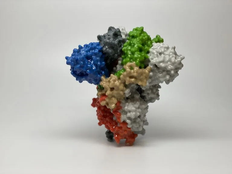 Scientists Develop Nasal Spray That Can Disable Coronavirus