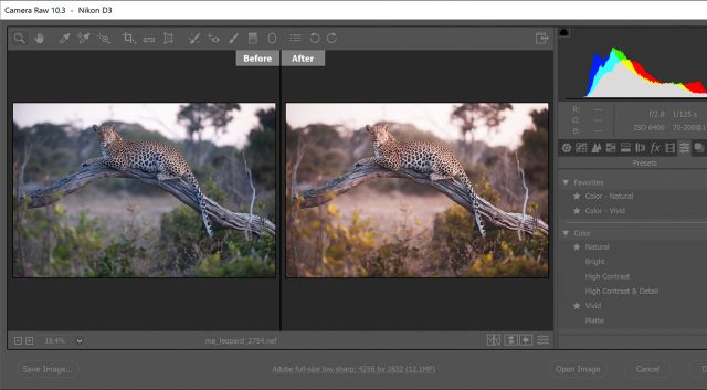 У програмі Lightroom і Photoshop Adobe викладає профілі та пресетні вікна та центр