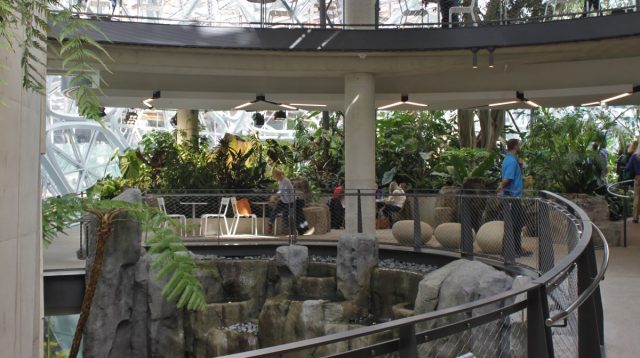 Inside one of the Amazon Spheres. Photo by Wikipedia