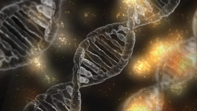 Редагування генів CRISPR може мати непередбачені побічні ефекти