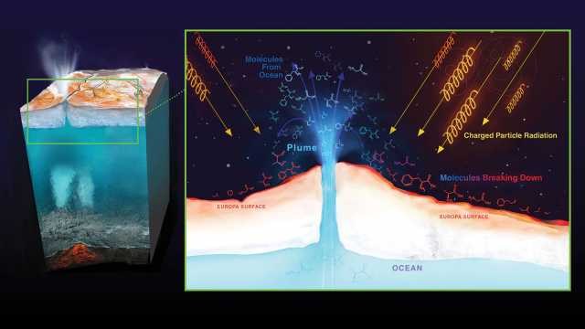 NASA заявляет, что доказательство жизни на Europa может быть под несколькими ледяными носами