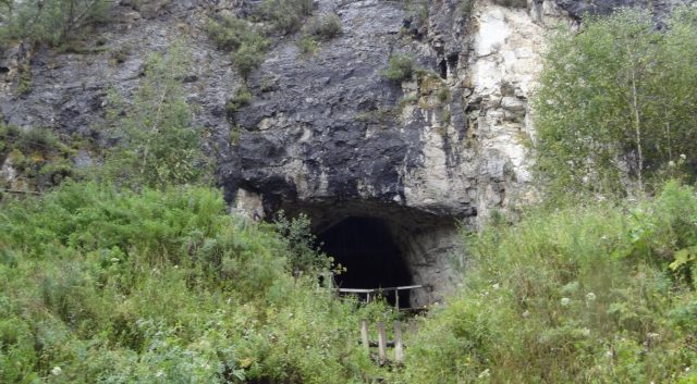 Scientists Find Neanderthal Hybrid In a Siberian Cave