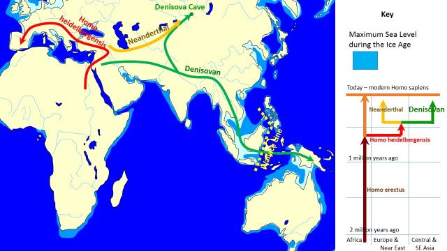 The current known path of Denisovan migration. Image by Wikipedia