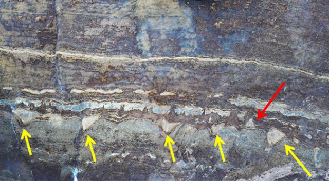 3.7 Billion-Year-Old Fossils May Actually Be Just Rocks