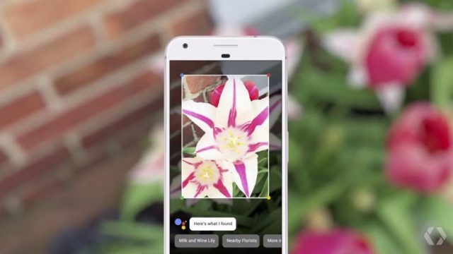 Google Lens приходить до мобільного пошуку зображень