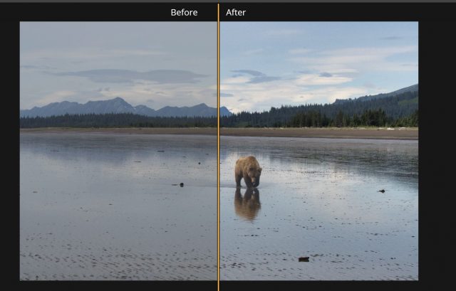 Фільтр Accent AI одним натисканням кнопки миші дуже компетентно працював над очищенням цього зображення, вносивши нудне ранок Brown Bear в озері Кларк Парк, штат Аляска. Є можливість для деякого подальшого вдосконалення, але Luminar 3 добре працює над тим, щоб процес автоматично запускався.