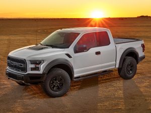 Ford F-150 (Raptor off-roader is shown): 1 of every 19 US vehicle sales is an F-Series.