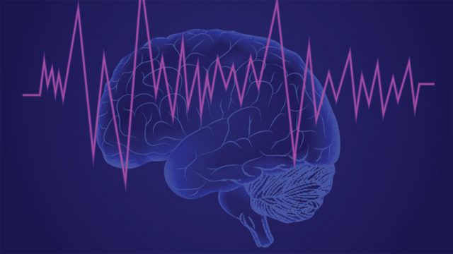 Ученые превращают сканирование мозга в интеллектуальную речь с помощью нейронной сети