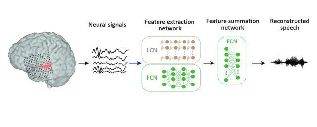 Ученые превращают сканирование мозга в интеллектуальную речь с помощью нейронной сети