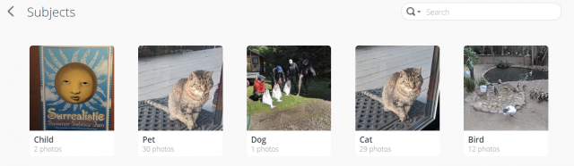 Synology Moments will recognize and tag common objects but you can see from these examples that it isn’t perfect