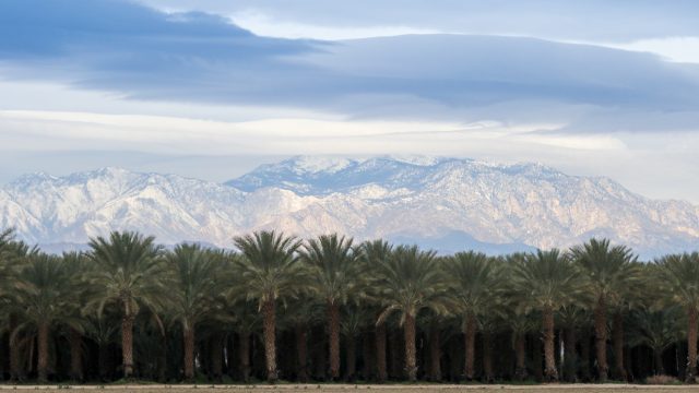 Thermal, CA is near Palm Springs. The BMW Performance Center is new there. For many years, this is one of the places where palm trees come from. 