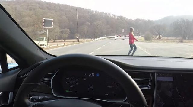 30-Love? Dude Tests Tesla Auto-Braking, Uses Wife as Test Prop