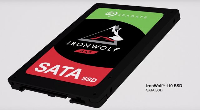 Руки з новими SSD-дисками Seagate на IronWolf 110