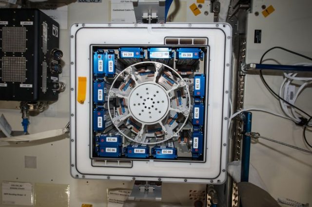 The Kubik incubator aboard the ISS.