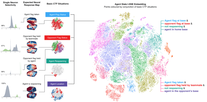 Image Credit: DeepMind