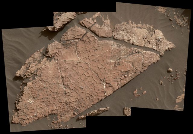 A network of mud cracks, nicknamed “Old Soaker.” Mud cracks are evidence of periods of wetness being interrupted by dry intervals. Image credit: NASA/JPL-Caltech/MSSS