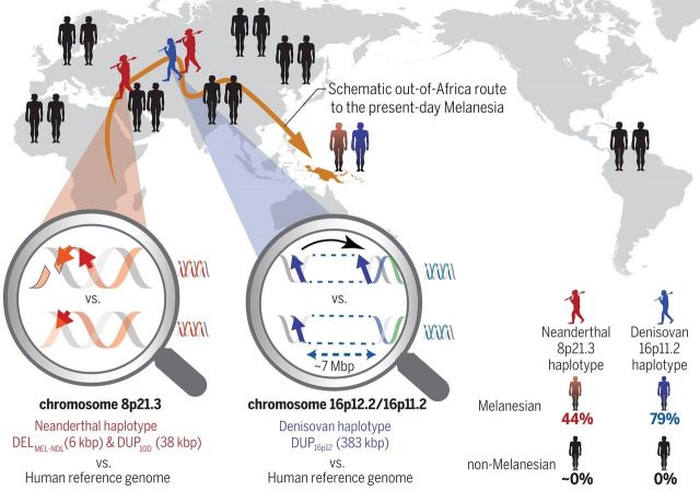 Image from Science Mag