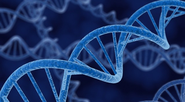 Researchers Find More Than 1 Million Alternatives to DNA