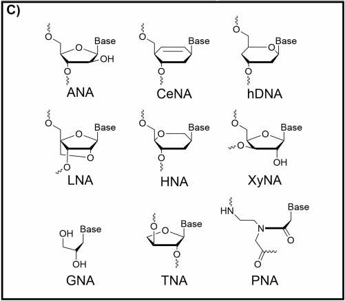 A few alternate nucleic acids.