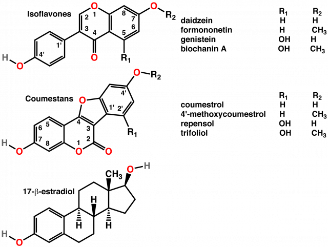 Структурное сходство некоторых фитоэстрогенов и эстрогенов (внизу).