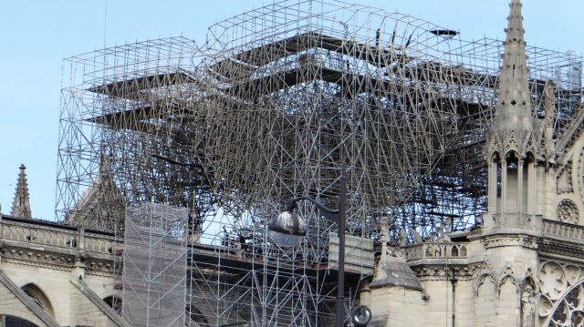 Ліси Нотр-Дам, попередньо підпаливши. Зображення Вікімедії