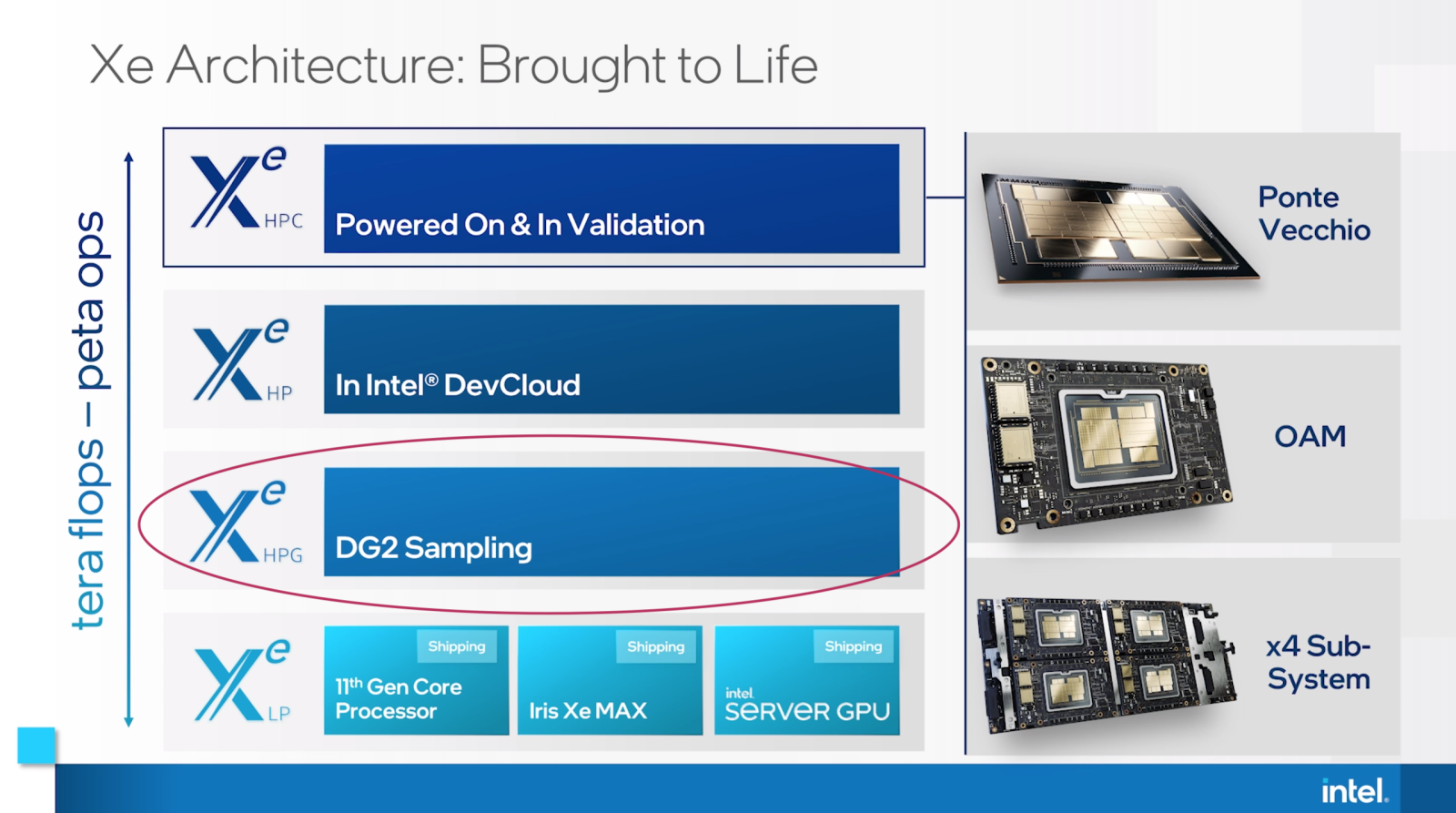 GPU Intel DG2 GPU теперь отбирается в разработчиках