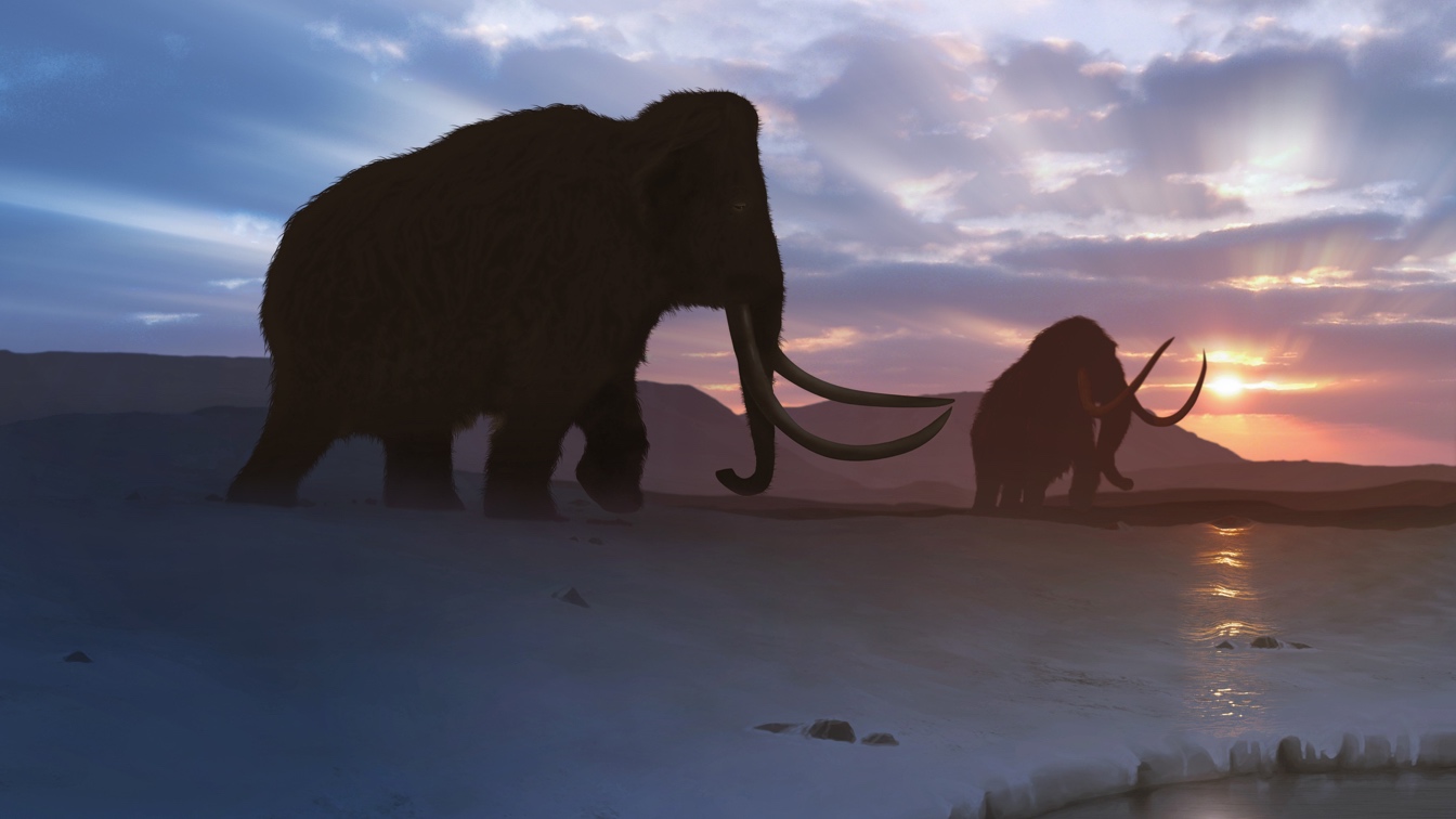 Startup Plans to Resurrect the Woolly Mammoth This Decade