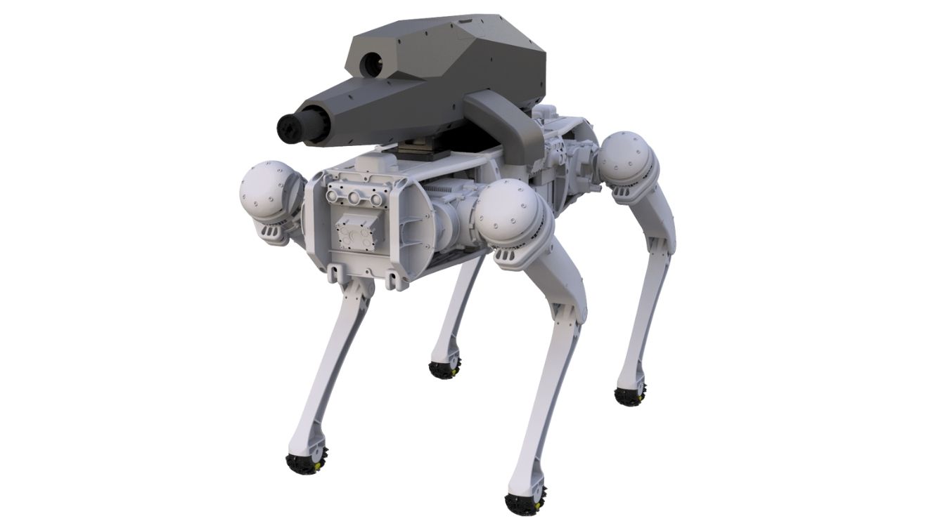 Robot Dogs Now Fielding Robot Guns