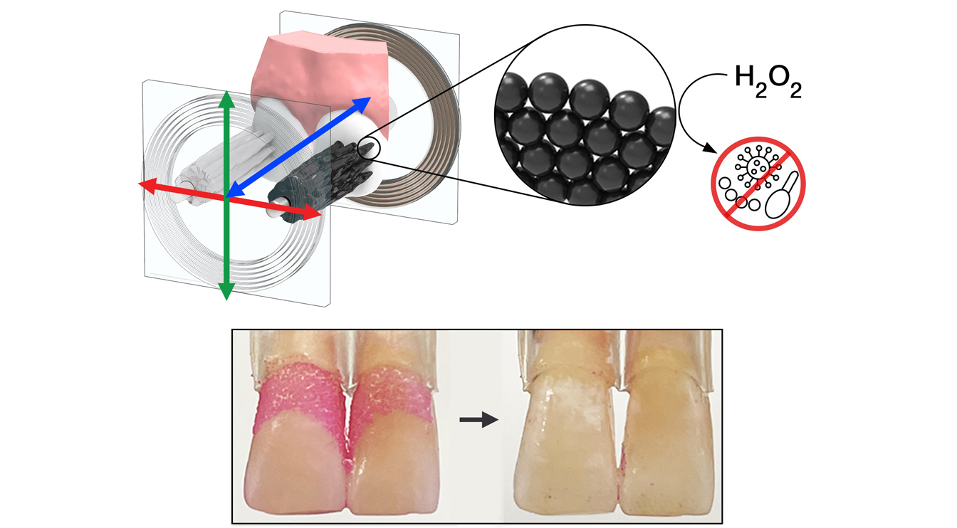 Scientists Create Programmable Nanoparticle Toothbrush