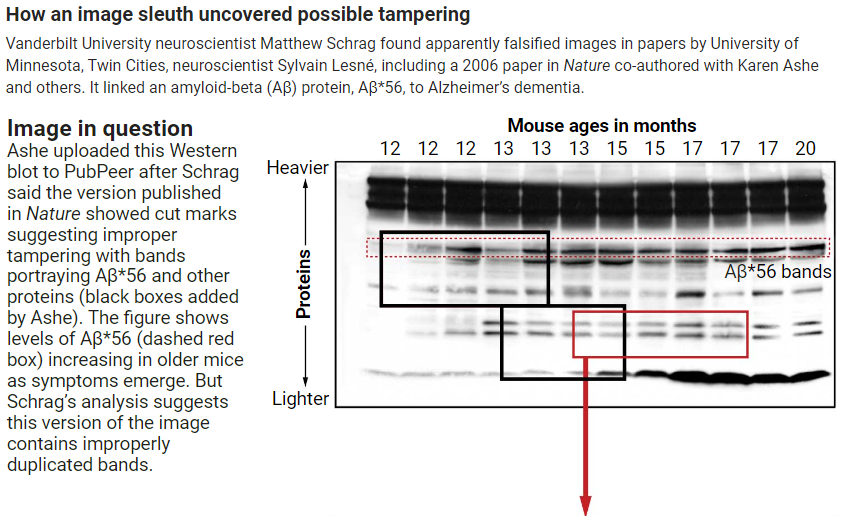 Potential Research Fabrication Bombshell Threatens Amyloid Theory of Alzheimer’s Disease